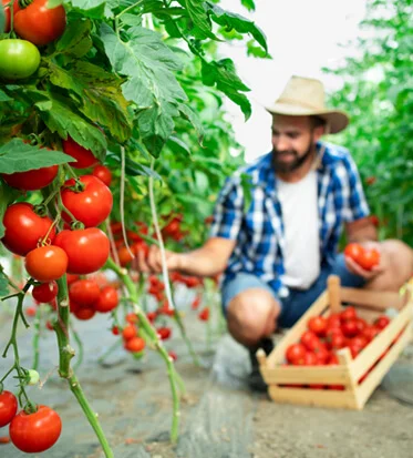 Agriculture Matters to the Future