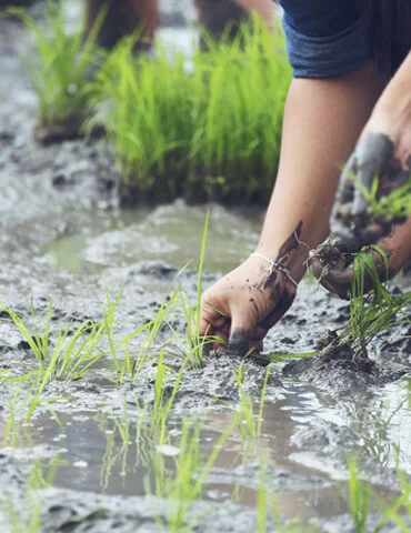 Annual Report 2024-25