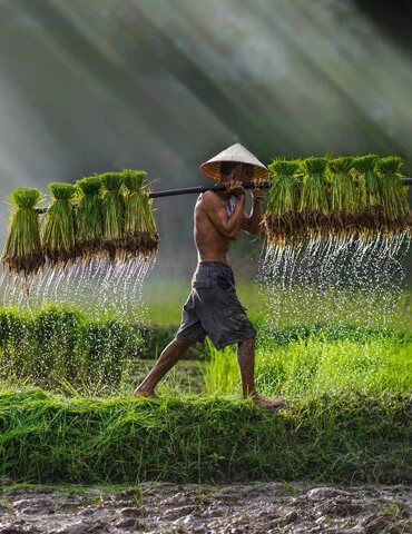 Annual Report 2023-24