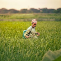 Natural Inputs - Bio Inputs